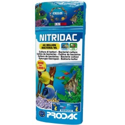 Prodac nitridac bacterias 500ml  cultura di batteri