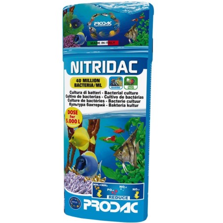 Prodac nitridac bacterias 500ml  cultura di batteri