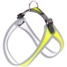 FERPLAST PETTORINA AGILA 6 FANTASY  BLU CON ANIMALI