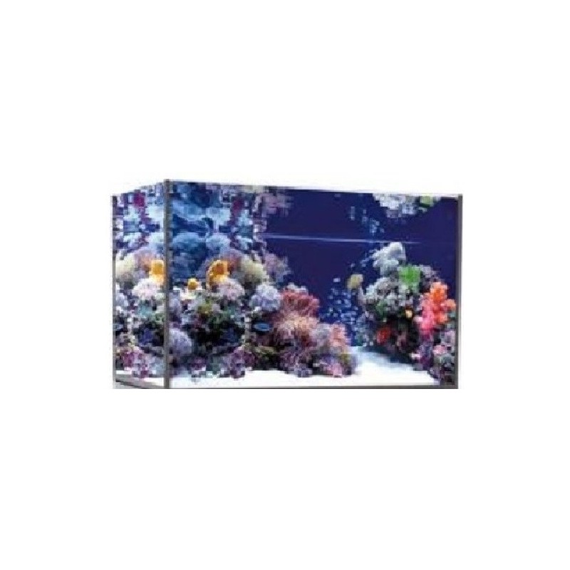 Vasca Acquario Artigianale Professionale Dreaming 120X60X60H (solo vasca)