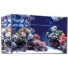 Vasca Acquario Artigianale Professionale Dreaming 120X60X60H (solo vasca)