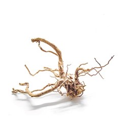 Blu Bios legno azalea rootmedio