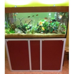 Vasca Acquario Artigianale Professionale  IN TOTAL VETRO EXTRA CHIARO -  110X70X60H - 462LT (con supporto)