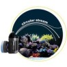 Tunze Turbelle® nanostream® 6025 pompa di movimento per acquari da 40 a 200 LT