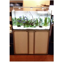 Vasca Acqaurio Artigianale Professionale Dreaming 130X70X70H con supporto