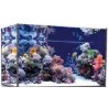 Vasca Acqaurio Artigianale Professionale Dreaming 130X70X70H con supporto