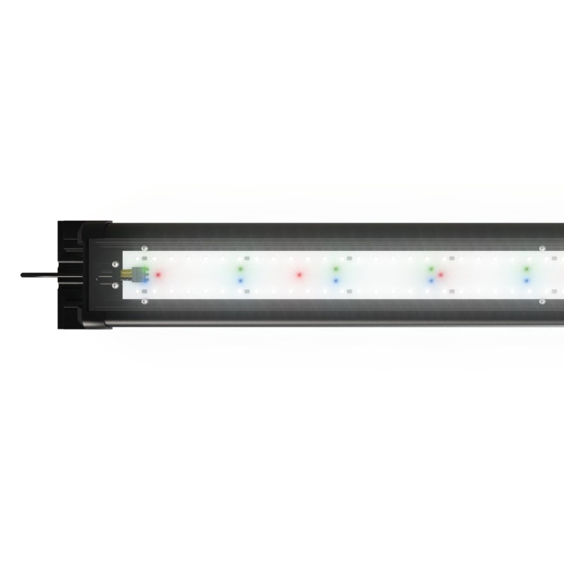 JUWEL PLAFONIERA HELIALUX SPECTRUM 800 - 32 Watt PER ACQUARI DI FAUNA DI ACQUA DOLCE