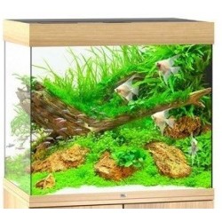 Juwel Acquario Lido 200 Light wood (faggio) con Supporto (Nuovo Modello con Illuminazione Led)