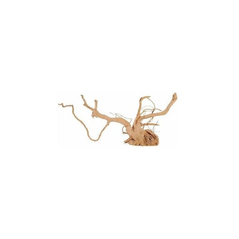 Legno Radice spellata red wood 10 - 30 cm