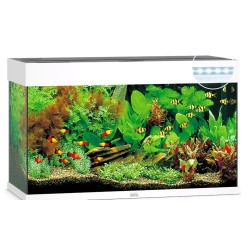 JUWEL ACQUARIO RIO 125 bianco (solo acquario - senza supporto)