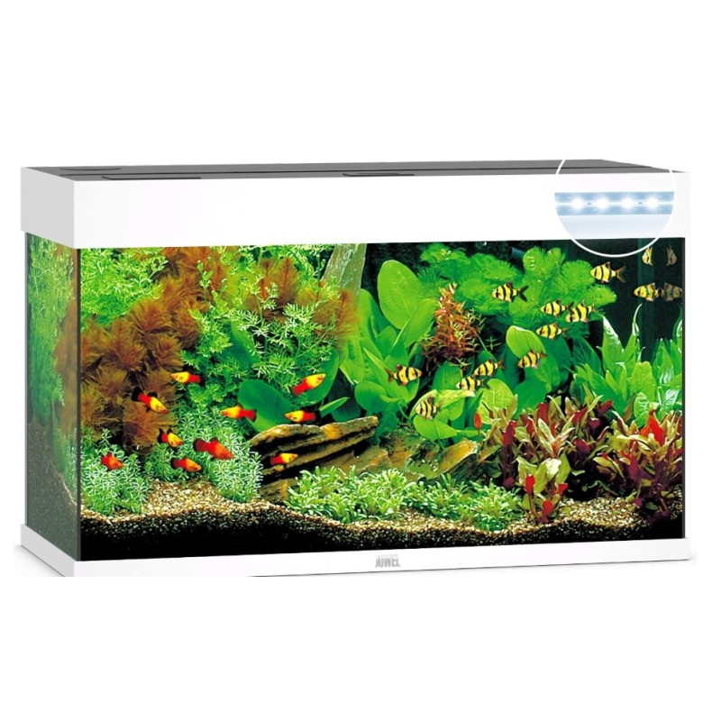 JUWEL ACQUARIO RIO 125 bianco (solo acquario - senza supporto)