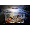 Blau Aquaristic Nano LED Light 2.0 Marine colore nero - plafoniera 11W per Nano Reef