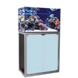 Vasca Acquario Artigianale Professionale Dreaming 120X60X80H (con supporto)