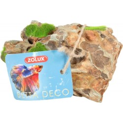 Zolux radice ragno Kipouss Small 10-20 cm