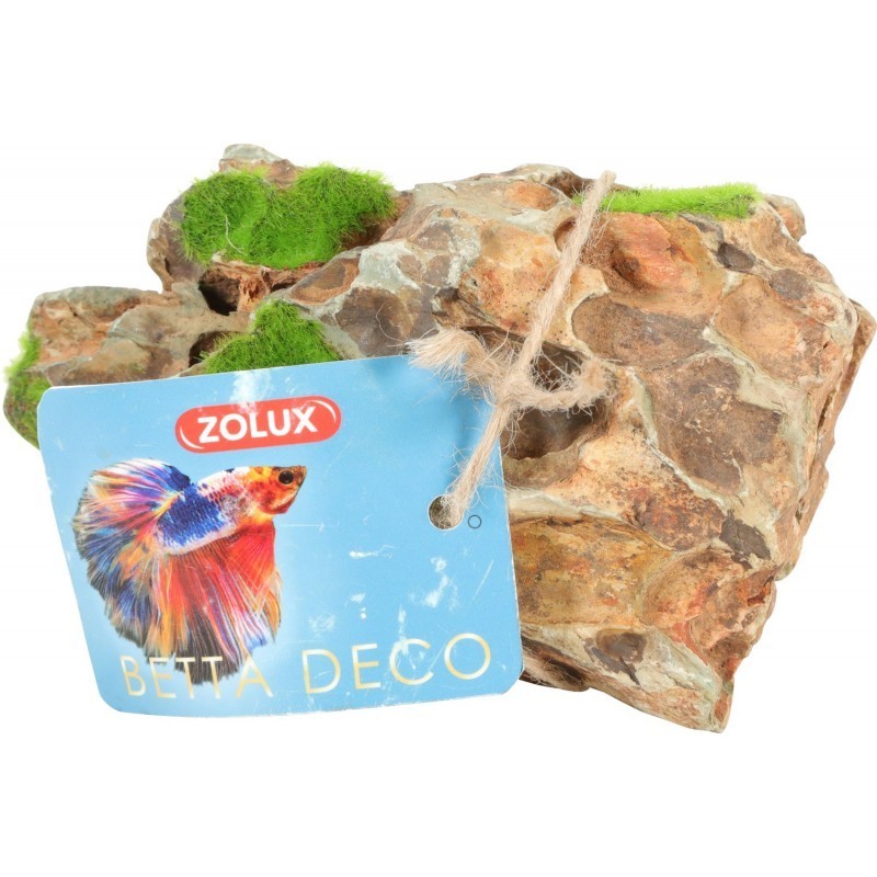 Zolux radice ragno Kipouss Small 10-20 cm