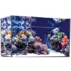 Vasca Acquario Artigianale Professionale  IN TOTAL VETRO EXTRA CHIARO -  130X50X55H - 357LT (CON SUPPORTO MOBILE)