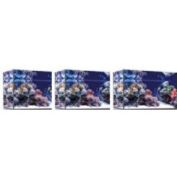 Vasca Acquario Artigianale Professionale  IN TOTAL VETRO EXTRA CHIARO -  130X50X55H - 357LT (CON SUPPORTO MOBILE)