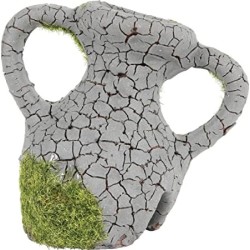 Zolux COLLO D'ANFORA SPUGNA ETNA S