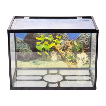 Aqpet One Mini Acquario in vetro 20 lt 36x22x26h cm