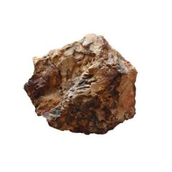 Aqpet zen stone rocce wood fossil al kilogrammo
