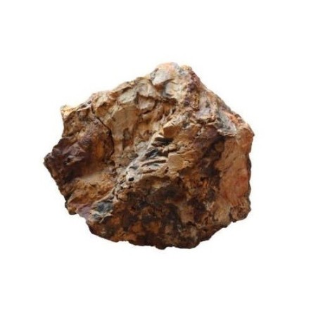 Aqpet zen stone rocce wood fossil al kilogrammo