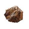 Aqpet zen stone rocce wood fossil al kilogrammo
