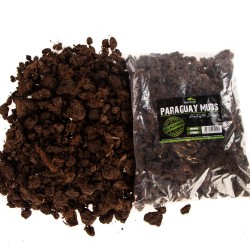 Terrario Paraguay Fanghi Pezzi - torba grumosa 5l