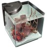 Newa Acquario Newamore Freshwater NMO 30 Nero 28 litri