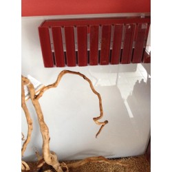 Acquario Dreaming 100x50x60h con supporto