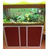 Acquario Dreaming 100x50x60h con supporto