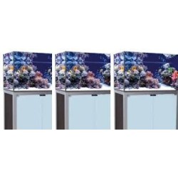 VASCA ACQUARIO ARTIGIANALE PROFESSIONALE DREAMING 150X60X60H CON SUPPORTO