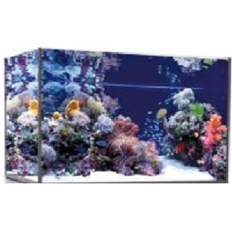 Vasca Acquario Artigianale Professionale Dreaming 120X60X60H (solo vasca)