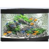 Juwel Acquario Trigon 350 Nero (Solo Acquario - Nuovo Modello Illuminazione Led)