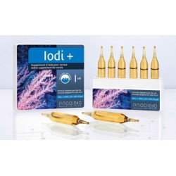 PRODIBIO IODI+ 6 FIALE
